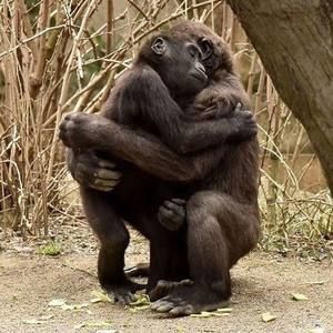 Meet your Posher, Dawn trahan